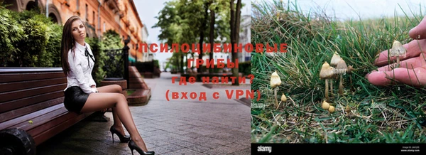 скорость mdpv Бородино