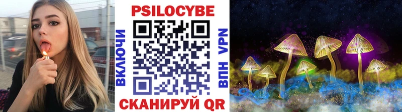 Галлюциногенные грибы Magic Shrooms  где можно купить   Фокино 